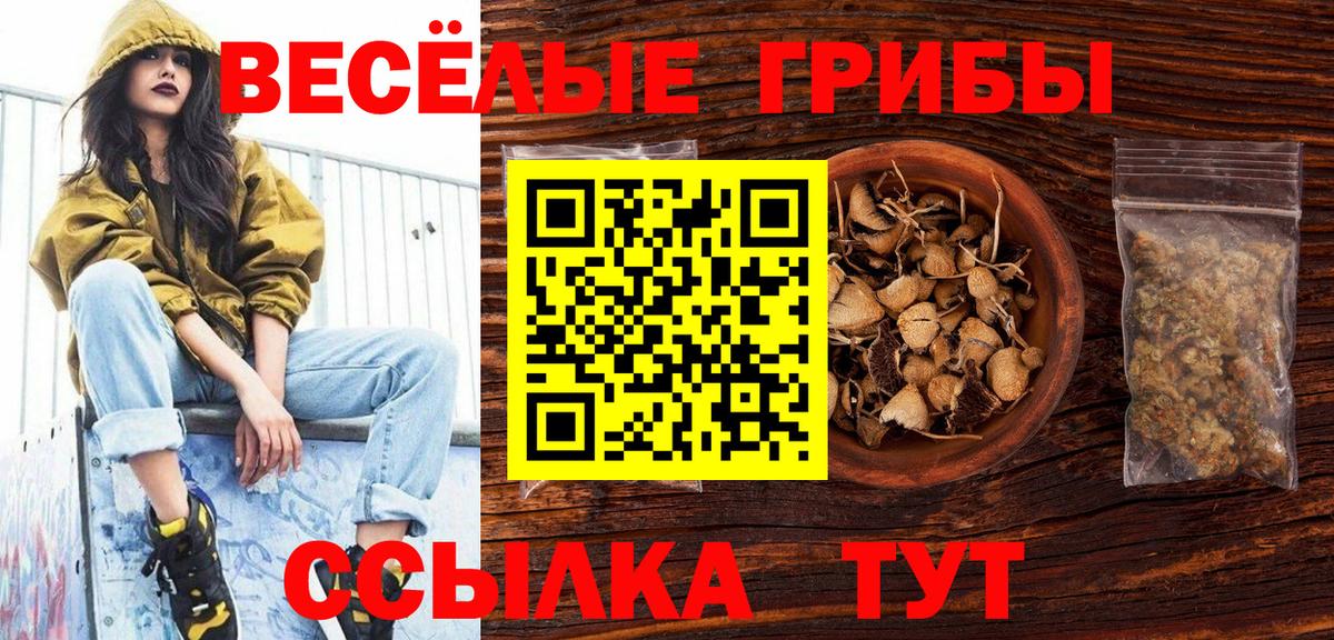 Новодвинск  Галлюциногенные грибы Psilocybe  Псилоцибиновые грибы MAGIC MUSHROOMS  Вход с VPN 