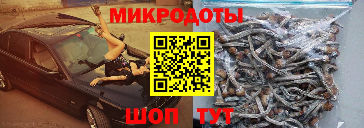 Псилоцибиновые грибы мухоморы Новодвинск